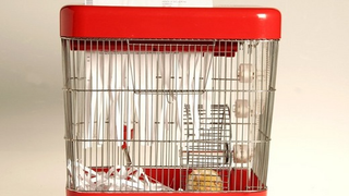 Hamster-Powered Paper Shredder Mark II